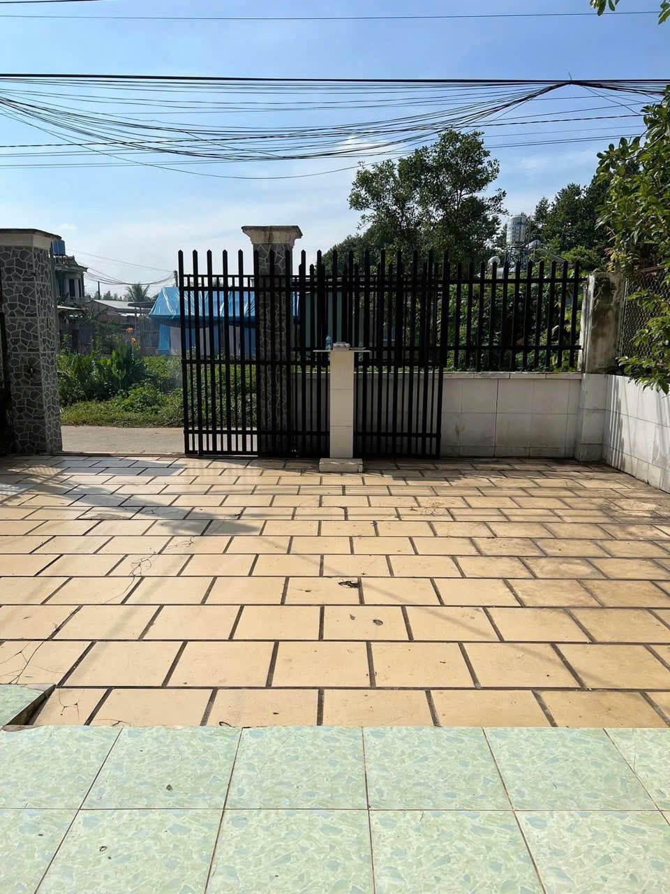 z7164398919212_b23a3f6a4910dd15955a2097ca9426e8