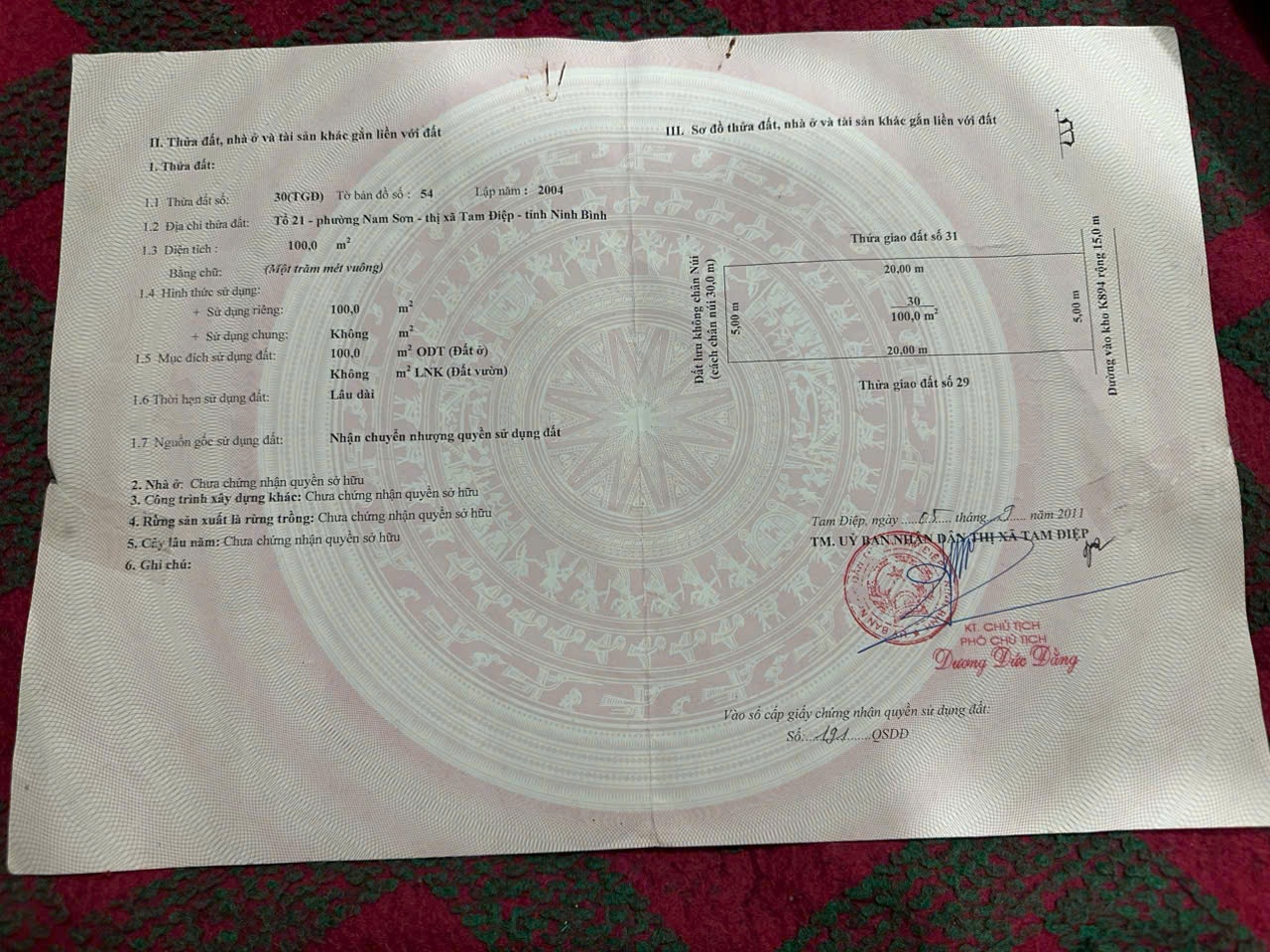 z7164431832623_16865abd41d44cf111adf83ce2dd1ce1