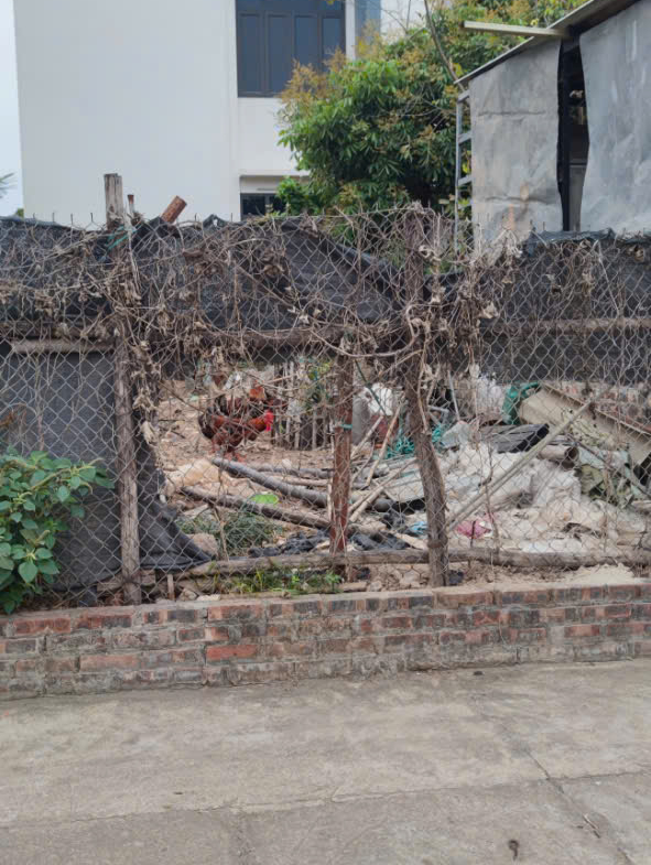 z7164536874000_9dbcdc2f4b83fe2283a7463215a201d5