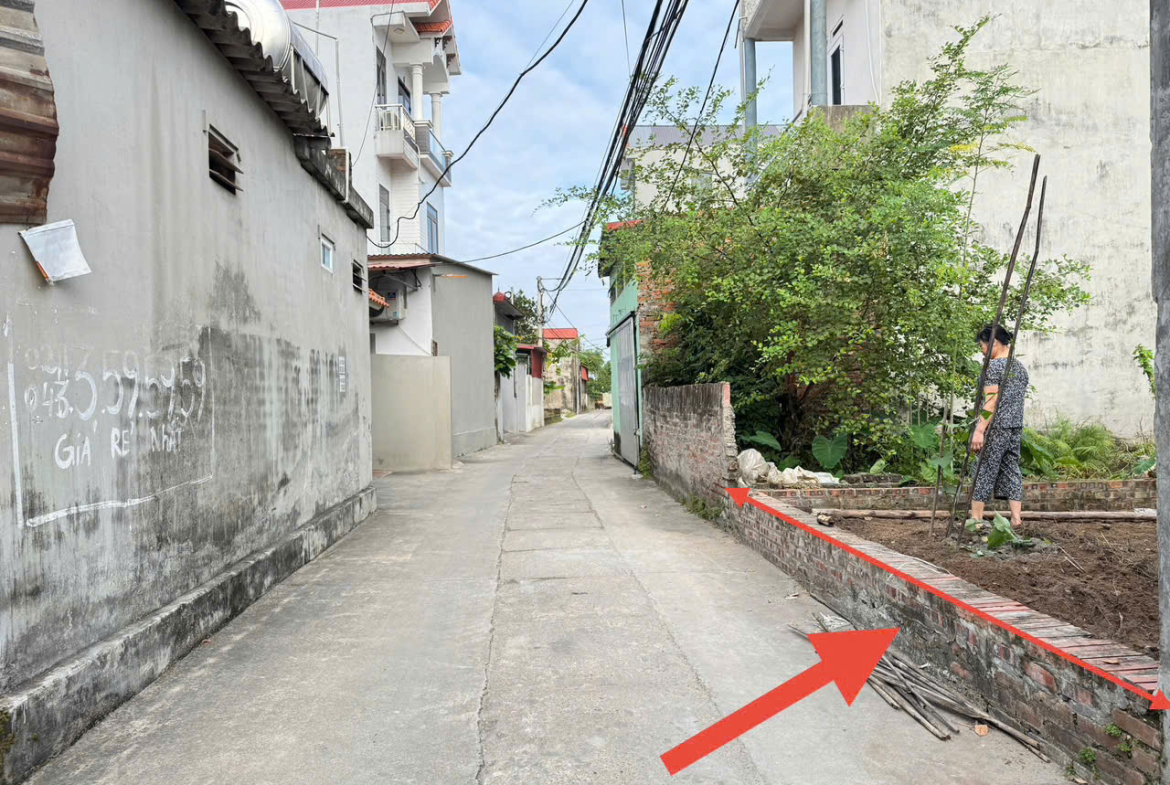 z7164629983653_08ba19d5e47087a211424af2fb71a851