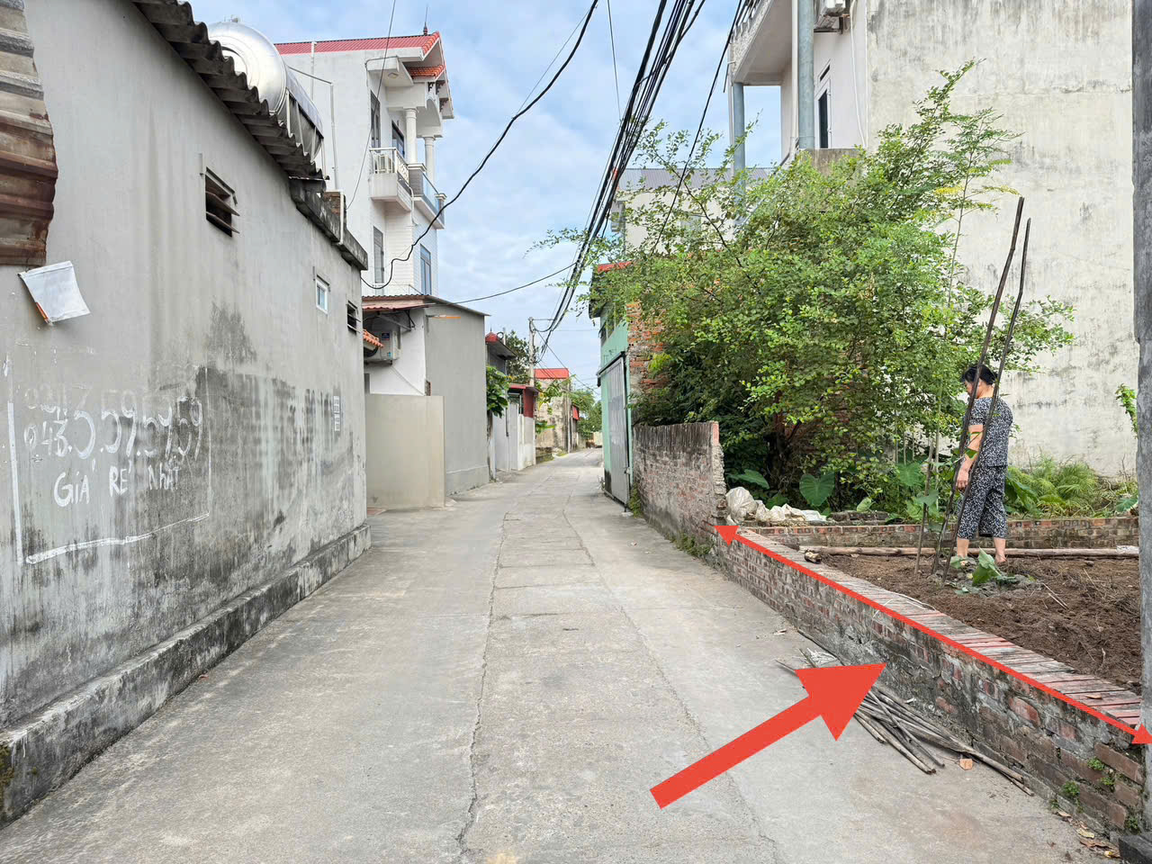 z7164629983653_08ba19d5e47087a211424af2fb71a851