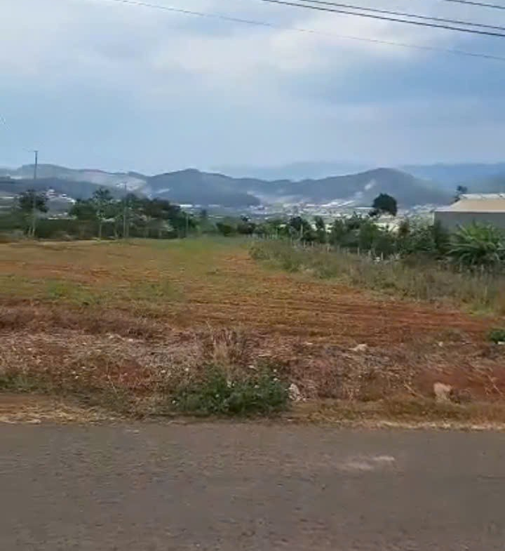 z7164832789077_d17aff8328b223732e5604f75a44de05