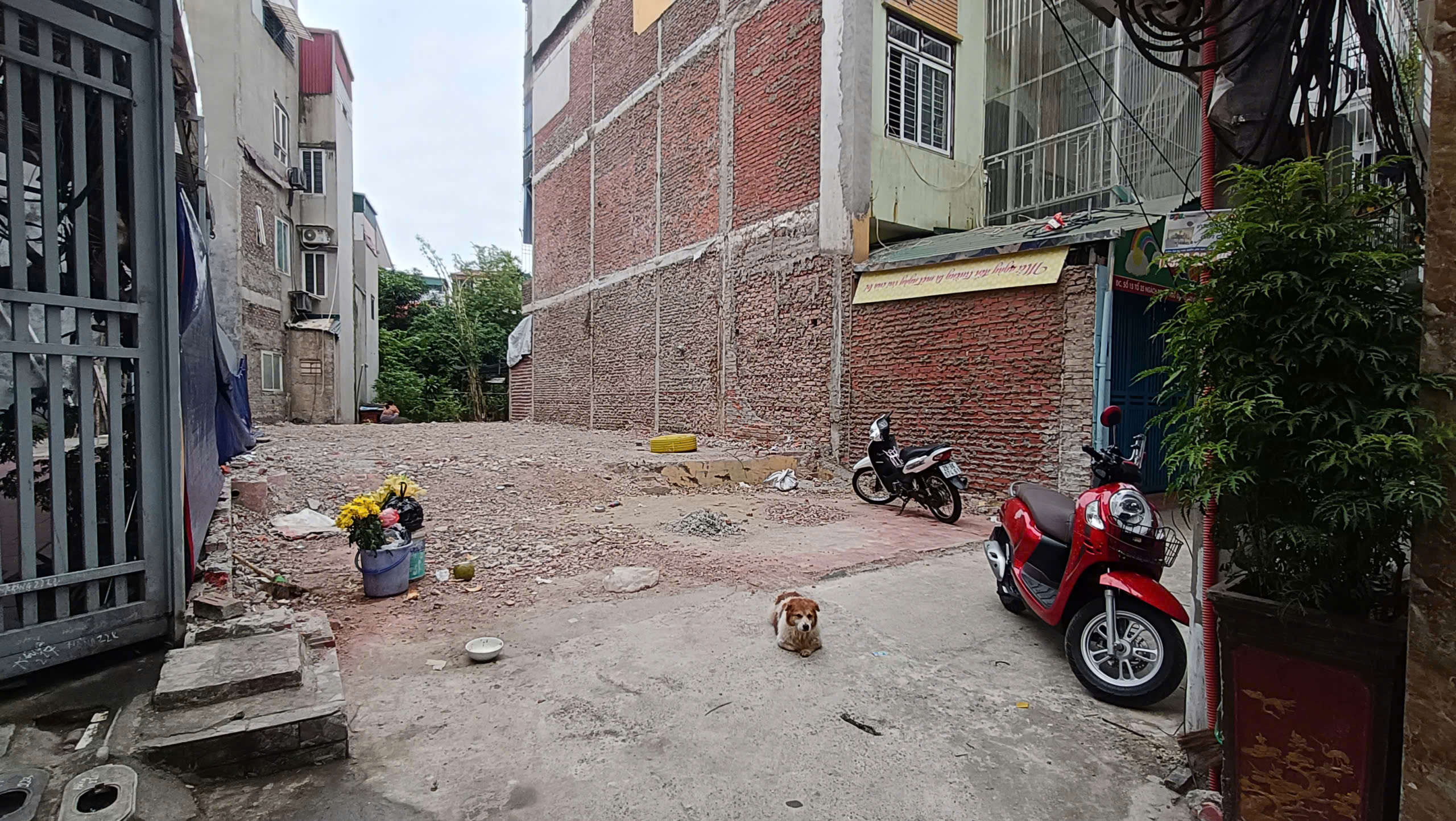 z7165085219984_726e38aded22c8ee1106b4467f45fdac