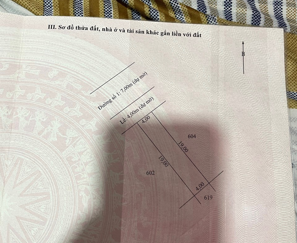 z7165509119196_42e8b3f997a714731b438f326fa1b120