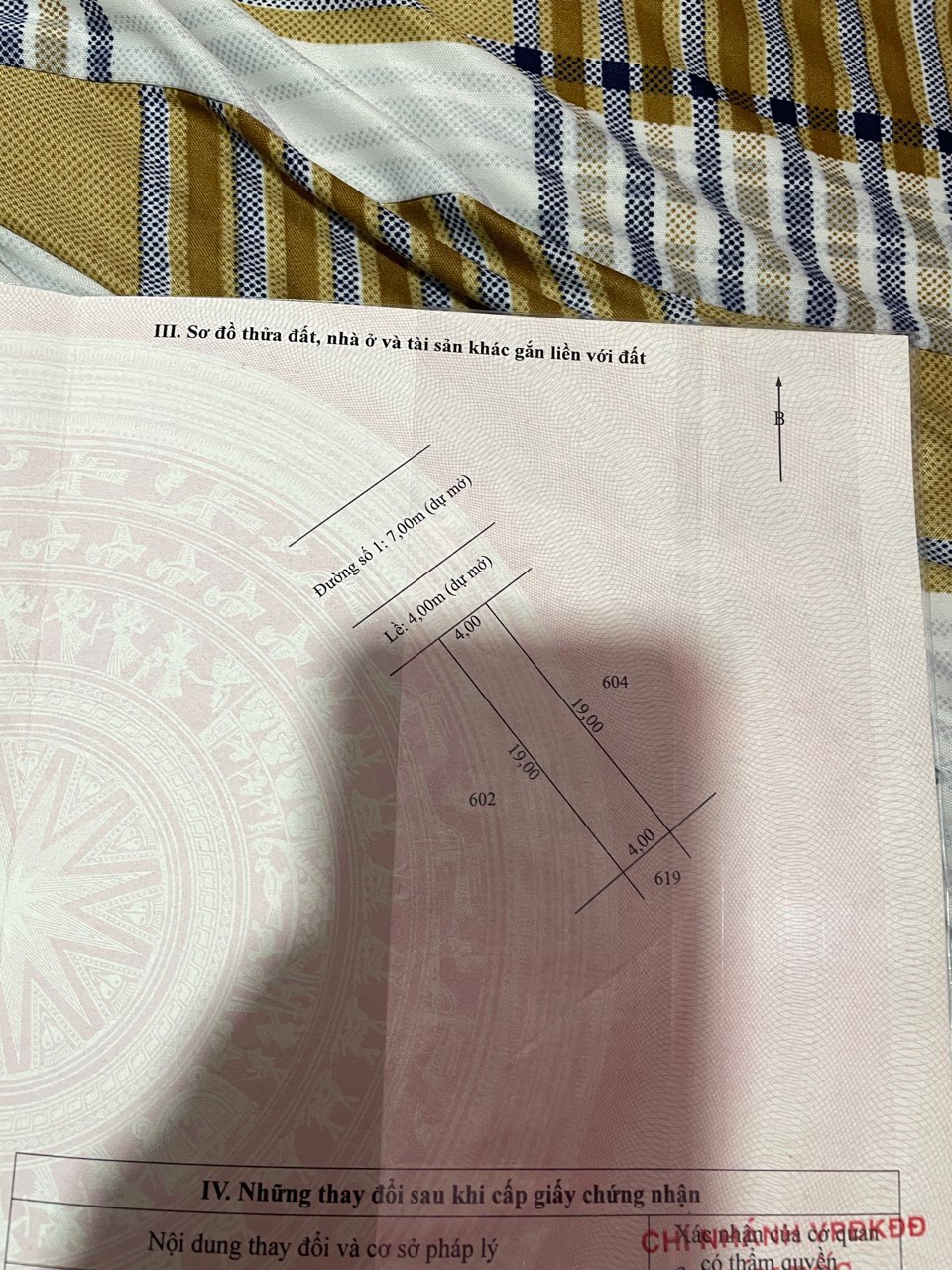 z7165509119196_42e8b3f997a714731b438f326fa1b120