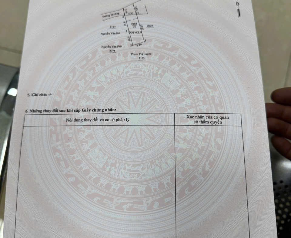 z7166130341956_ce4d7878ad7b68160b78a4bf40b594b5