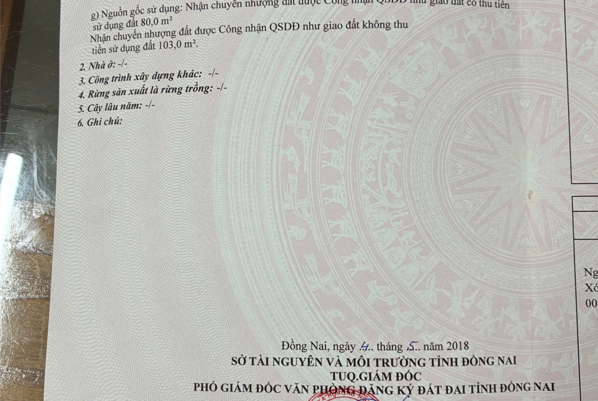 z7166204054940_990a334bed2f60d77463f9f5adc845b7