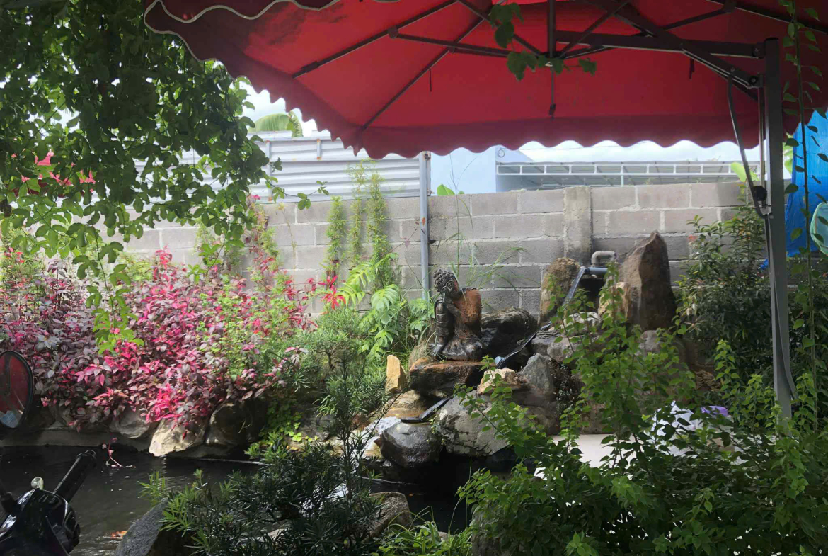 z7166224932543_b81df7e7b4134f90cc24f8dc27764656