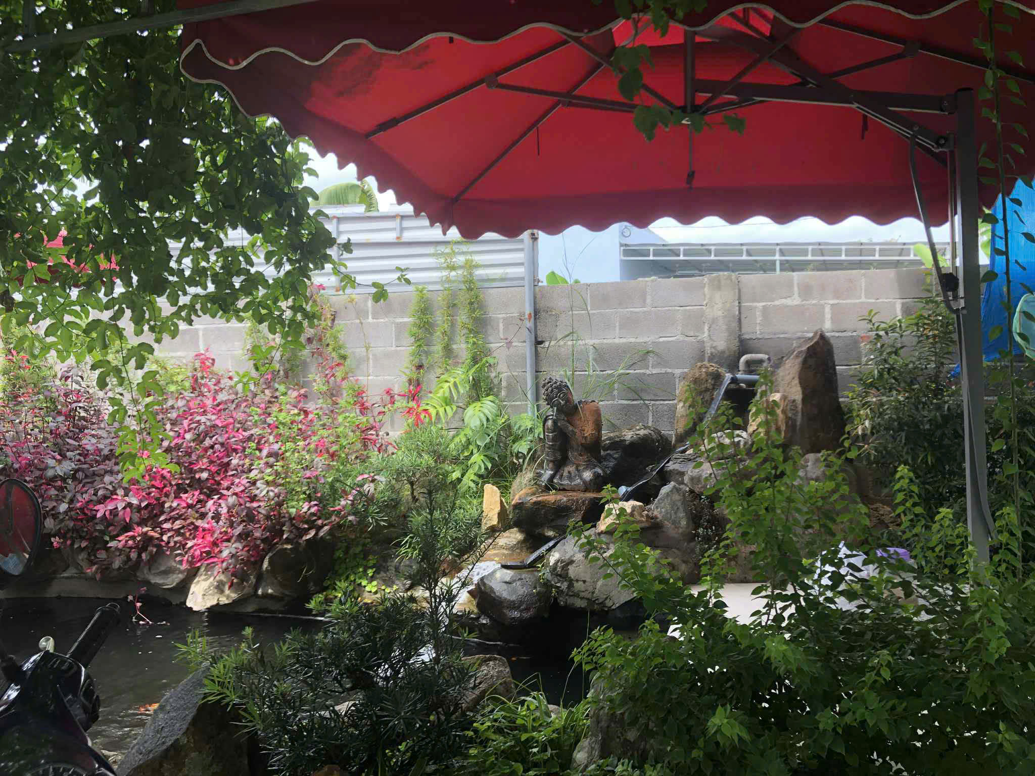 z7166224932543_b81df7e7b4134f90cc24f8dc27764656