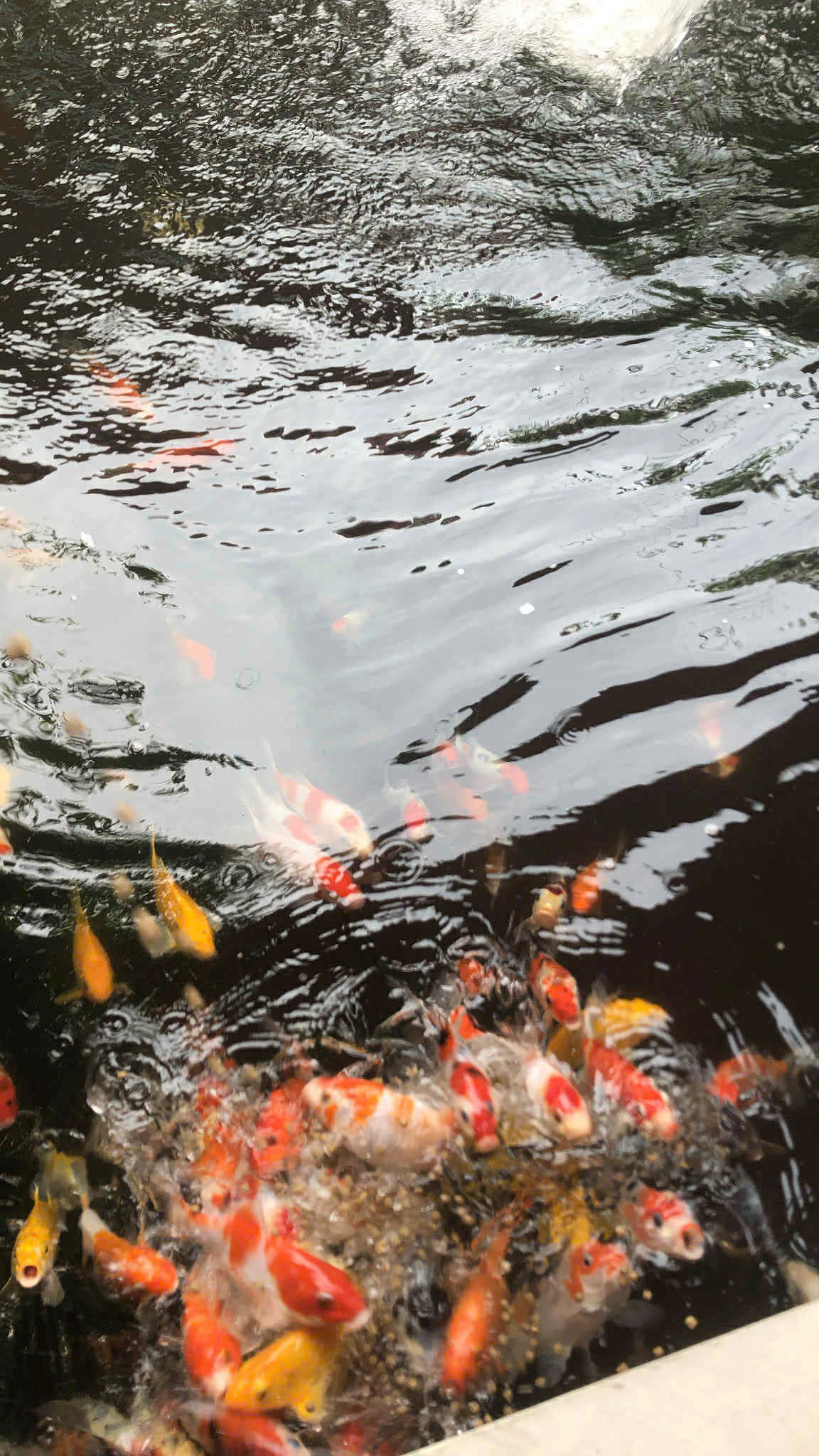 z7166224936751_b96e6c5aa6dff1839c9e52b8455e3a32