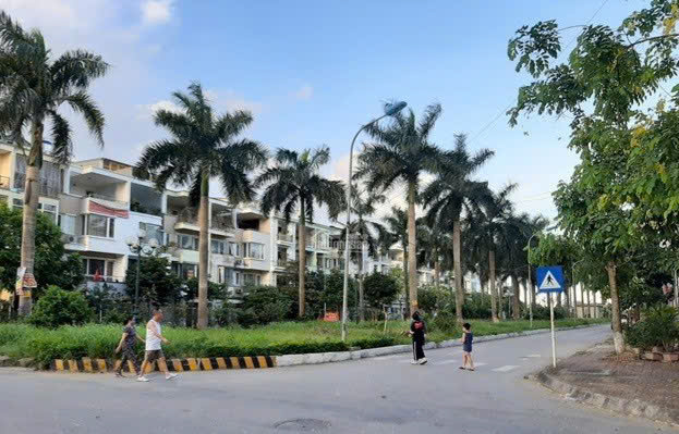 z7166376886571_54212b8754a83708e29fbca3c82ded5e