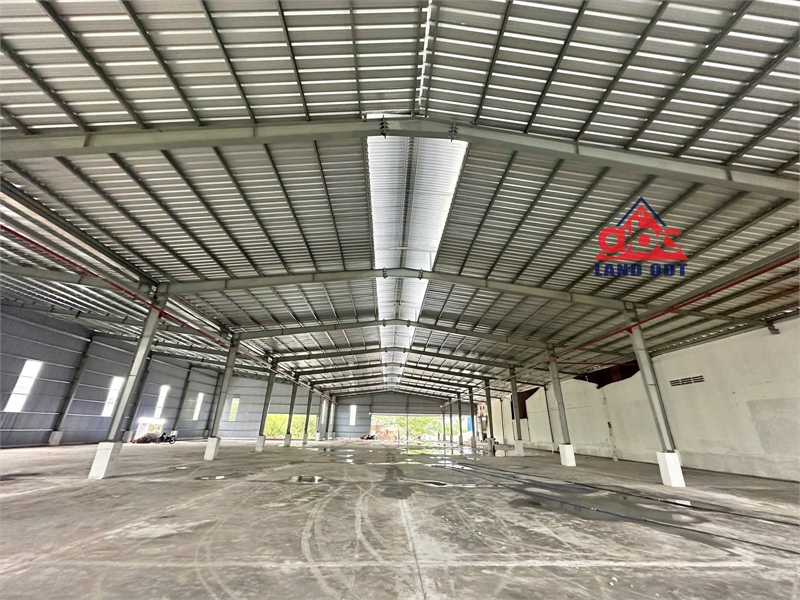 z7166404775342_3c47eef17b8f7f95024eb1efd6f04e3a