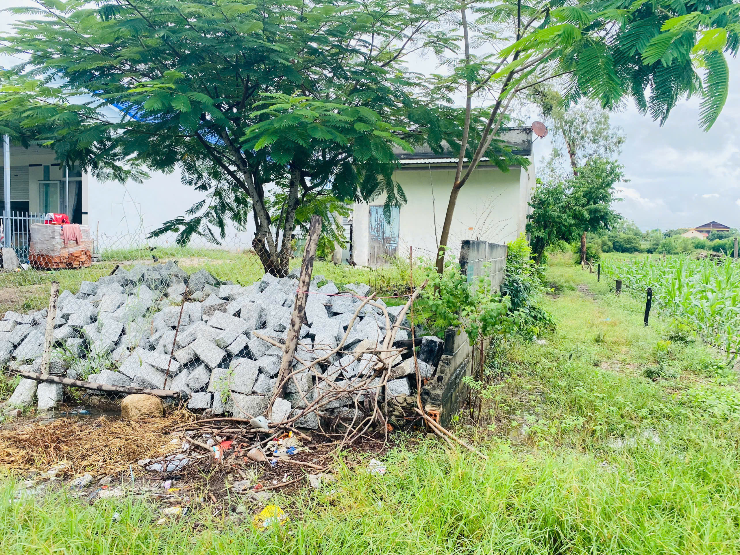 z7166513879337_c7f1d09fadf799ff846ceecdb89ce81e