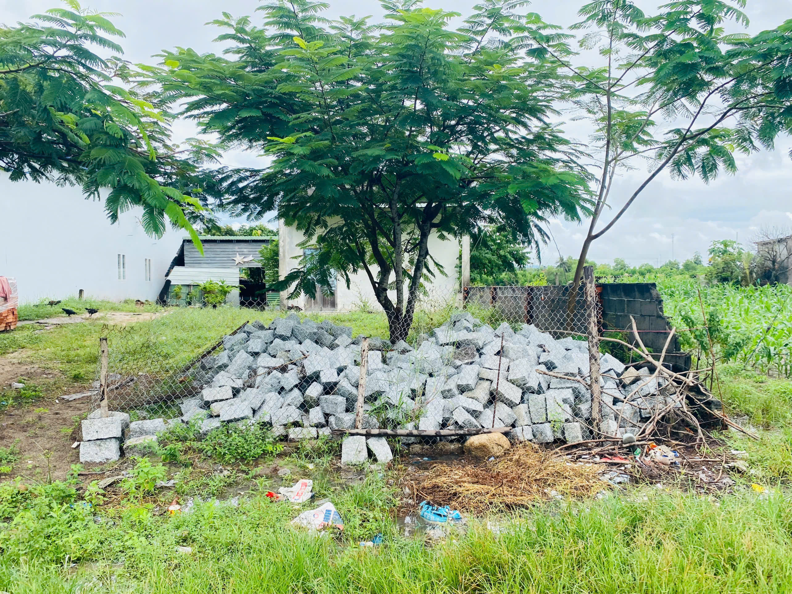 z7166513891974_e293985e78fe54e8569c0c2a44f81d84