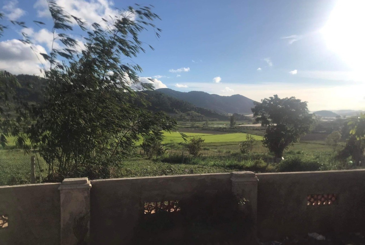 z7166763955608_0d330bd48de42a20fda9277c9e41b29a