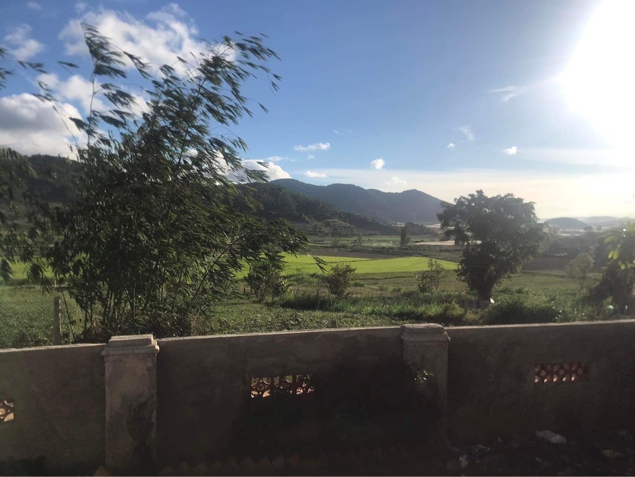 z7166763955608_0d330bd48de42a20fda9277c9e41b29a