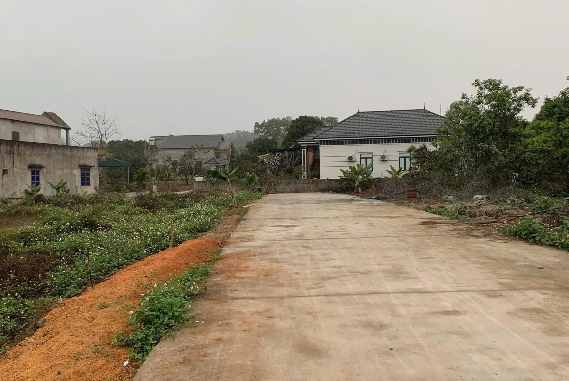 z7166828561502_15832a0006c93a4e5416b509a1b57eaa