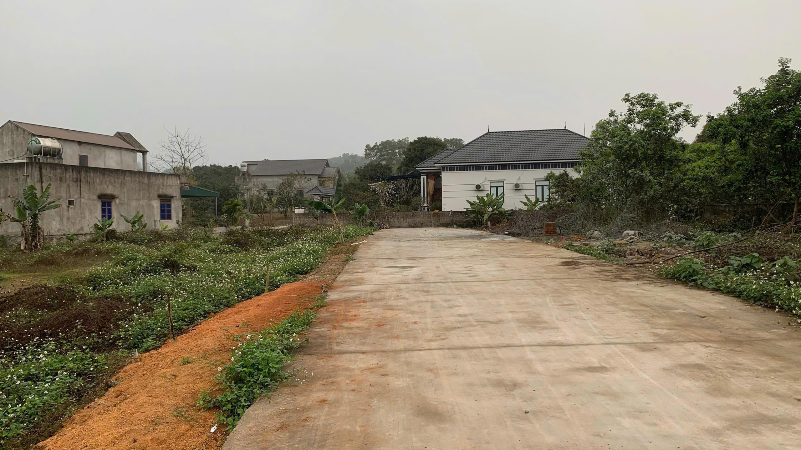 z7166828561502_15832a0006c93a4e5416b509a1b57eaa