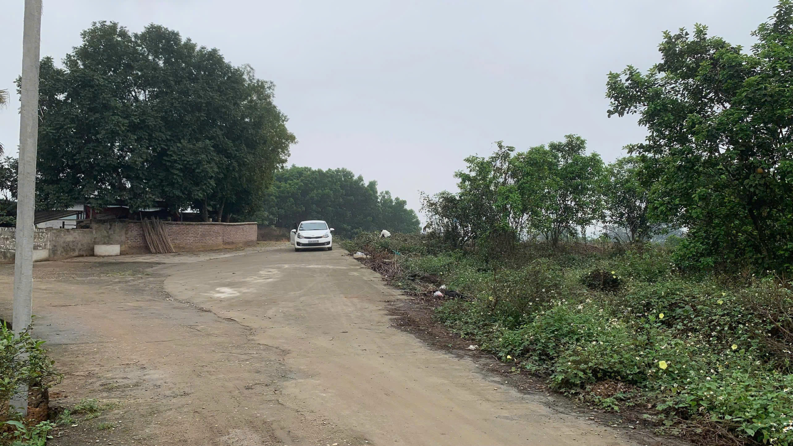 z7166829254021_027eb694e43b6bdf1bcd9b7de4c2757c