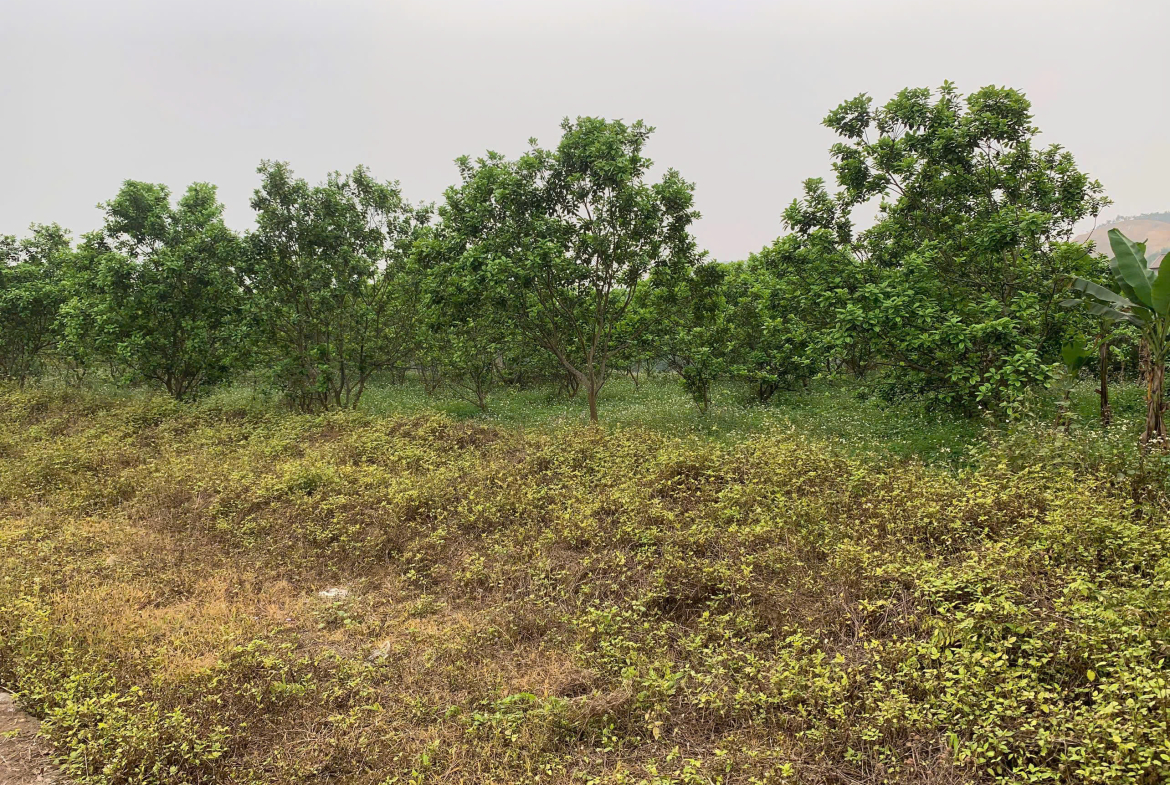 z7166830390651_bfa3ea9d276676e5246048da9f9f8ae9