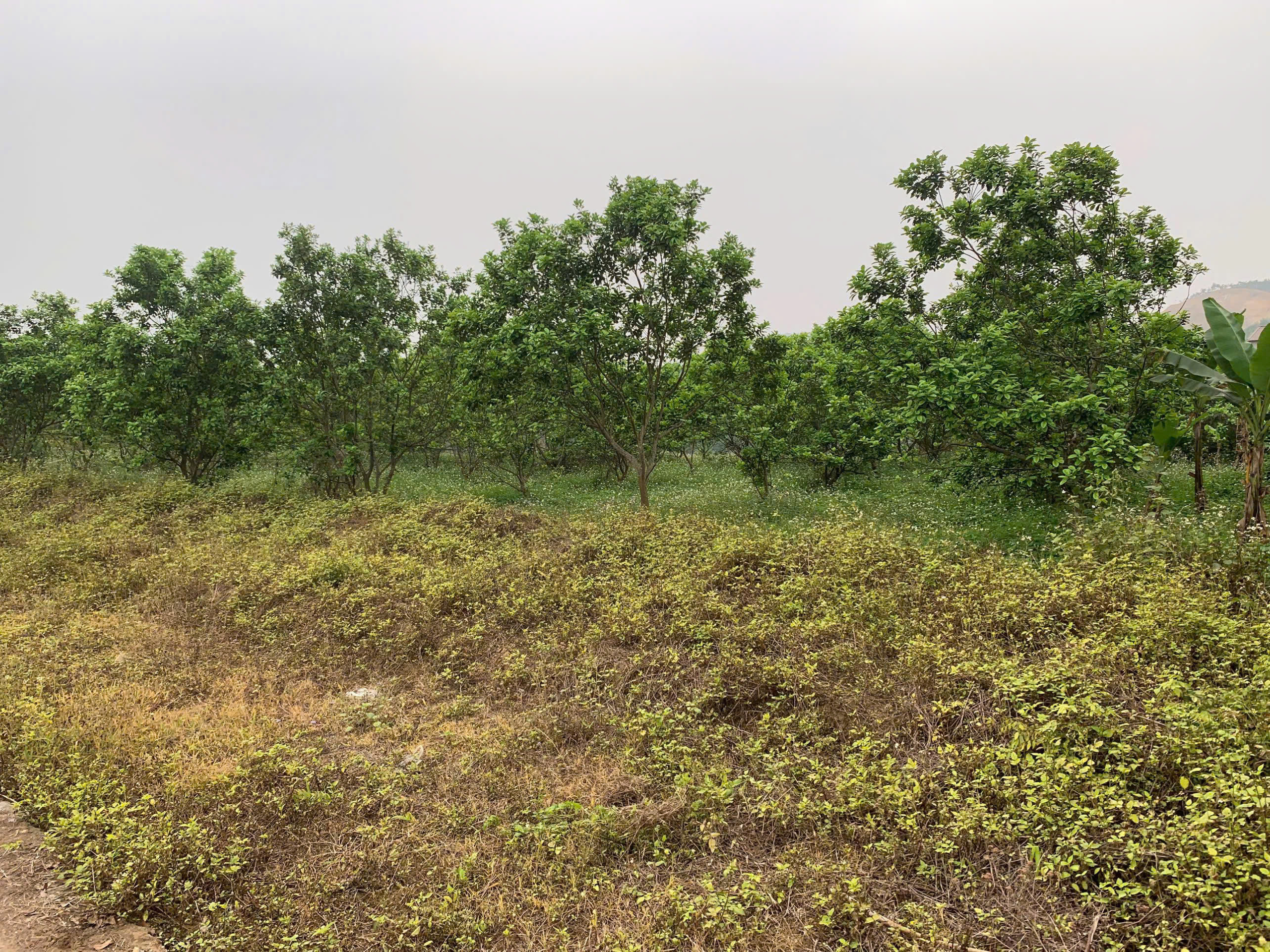 z7166830390651_bfa3ea9d276676e5246048da9f9f8ae9