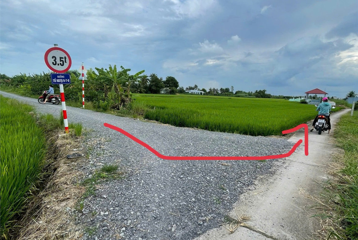 z7166979271911_3d54284e2725372c005425eb5774b5d9