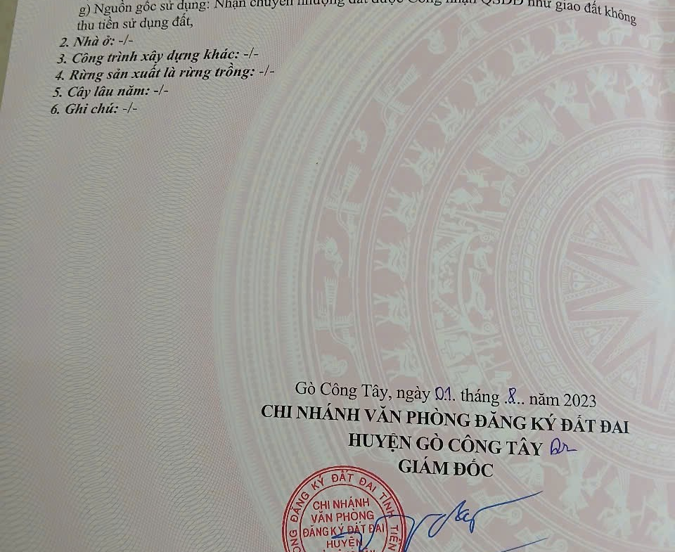 z7166979295374_0641f20c1ce41a90e30580b27d2251b7