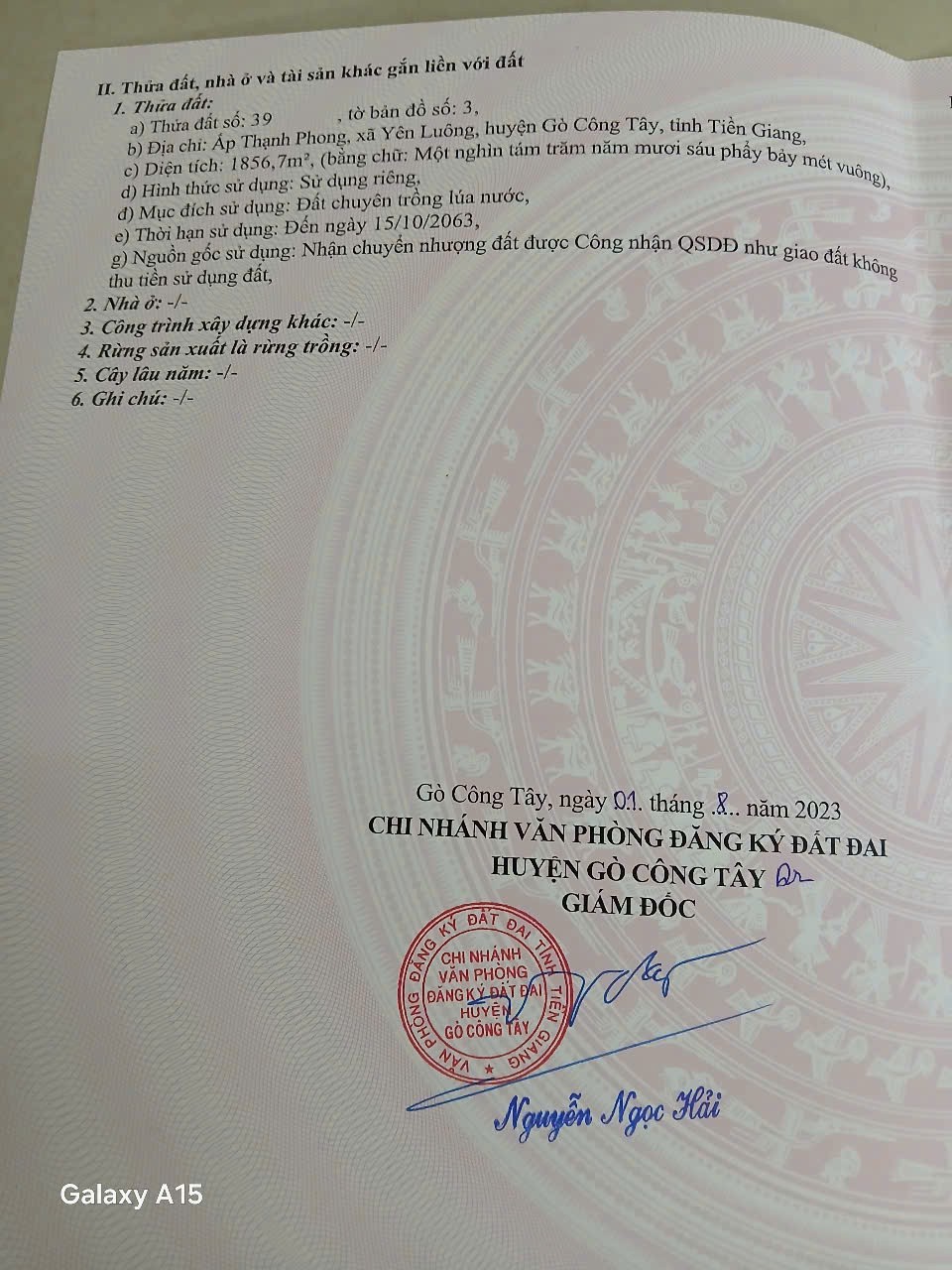 z7166979295374_0641f20c1ce41a90e30580b27d2251b7