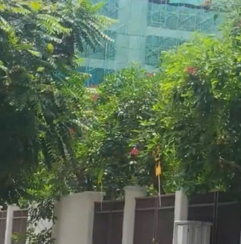 z7167257265859_2e43ad8d156474c8e7b9585ce8f65da2