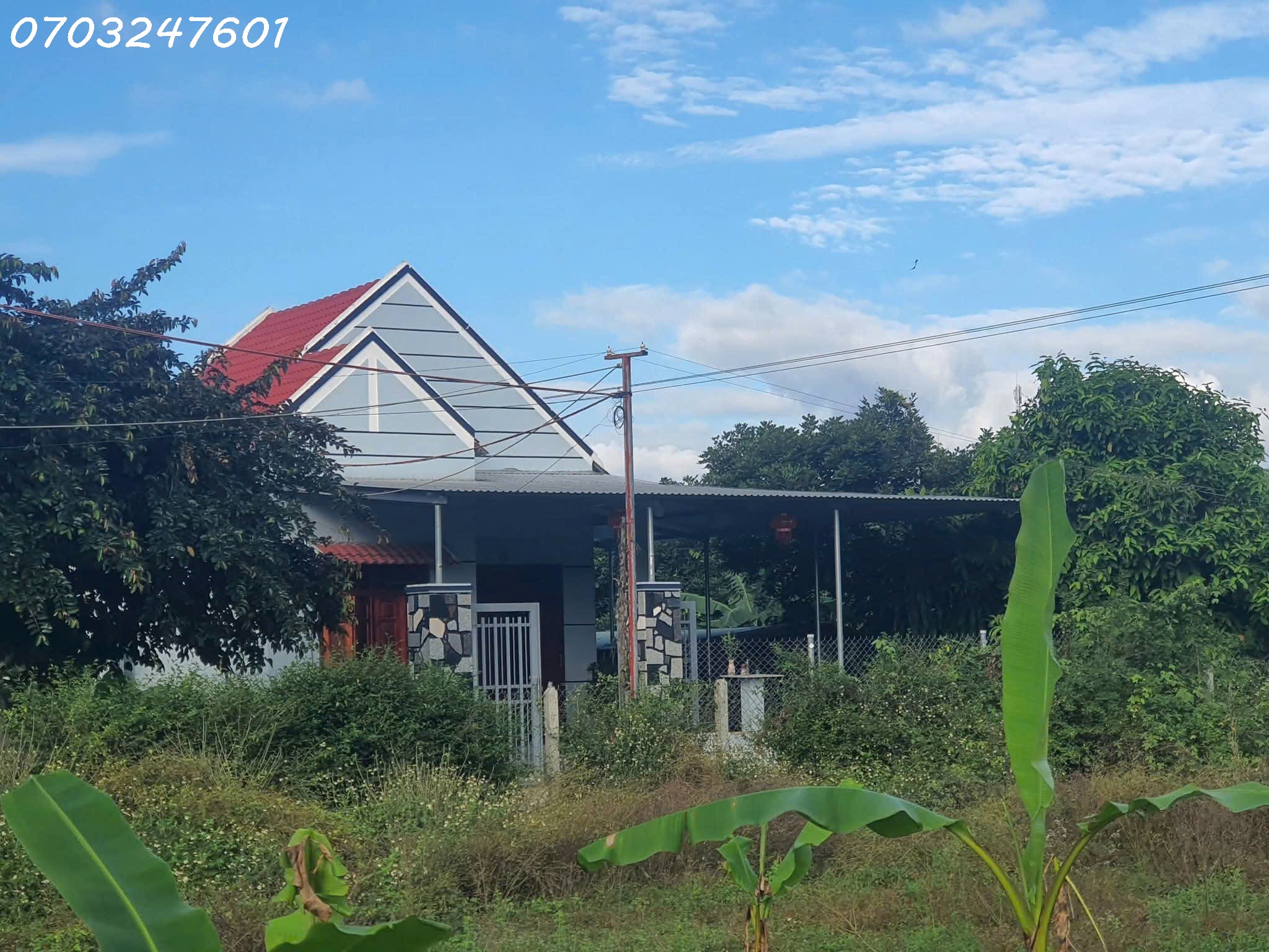 z7167289710953_64917007defec89e102132ed58fbefa0