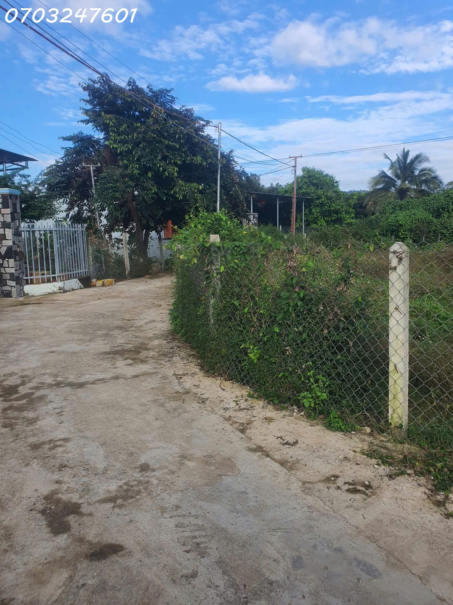 z7167291126650_d7b430d04bc593f5fb7c17774acb5cc2