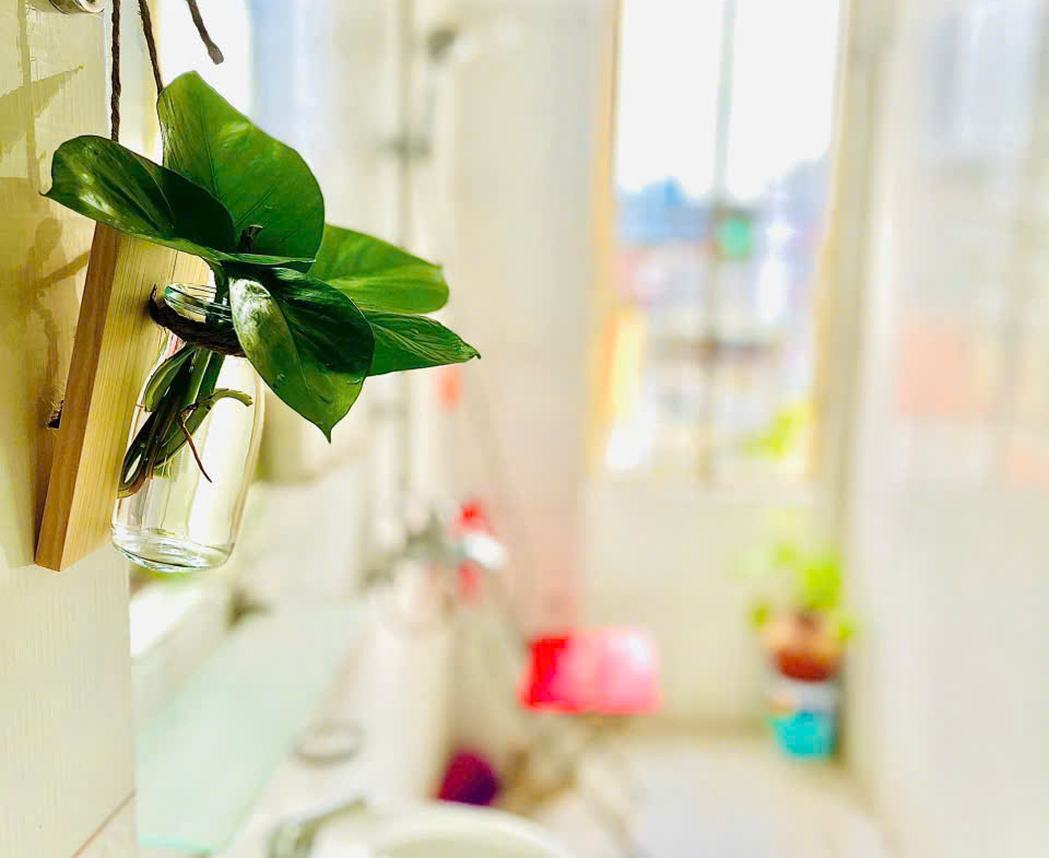 z7167529405414_4f7141a94302b7089cb9d51b3ffba702