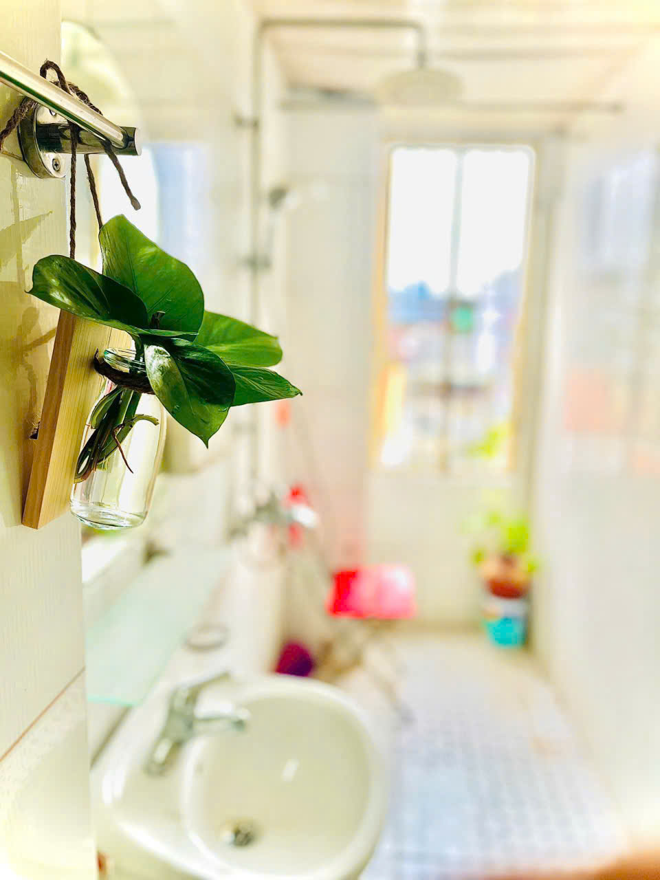 z7167529405414_4f7141a94302b7089cb9d51b3ffba702