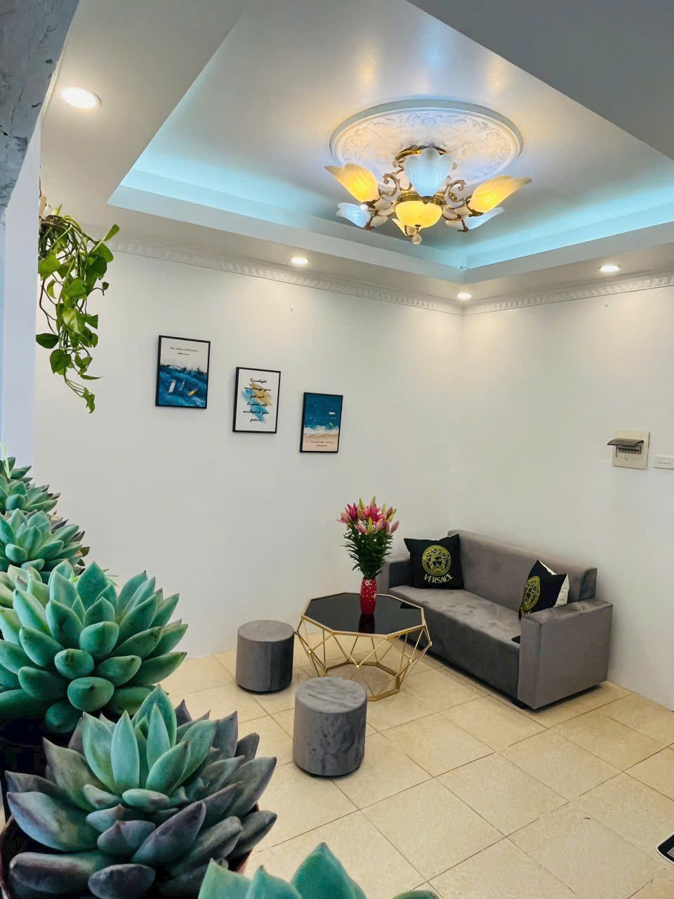 z7167529415700_2d9c8a216040dc991e3a597443e82679