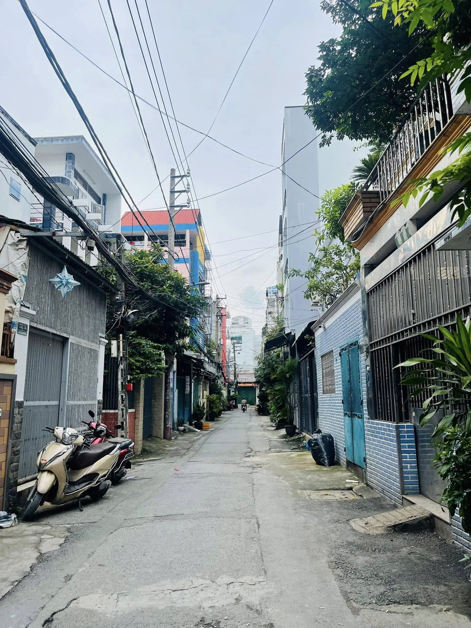 z7167653962018_1f2a88736b320b996553f5db3b37d843