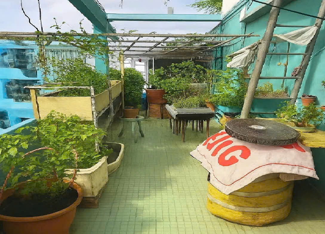 z7167782304159_00bfae0859f5599ee416a48f193c3406