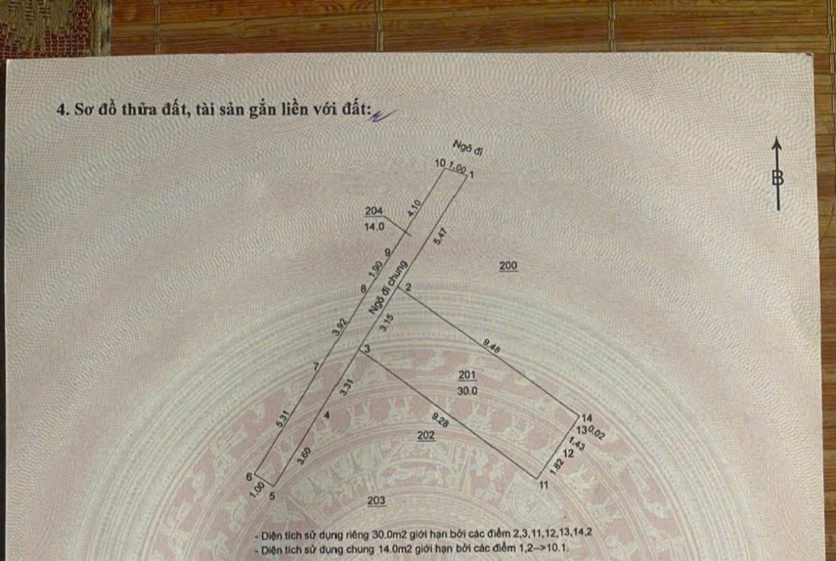 z7167784047308_ad8a62879e9ea1c8103a3f2d5b3b3545