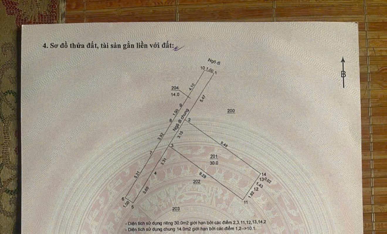 z7167784047308_ad8a62879e9ea1c8103a3f2d5b3b3545