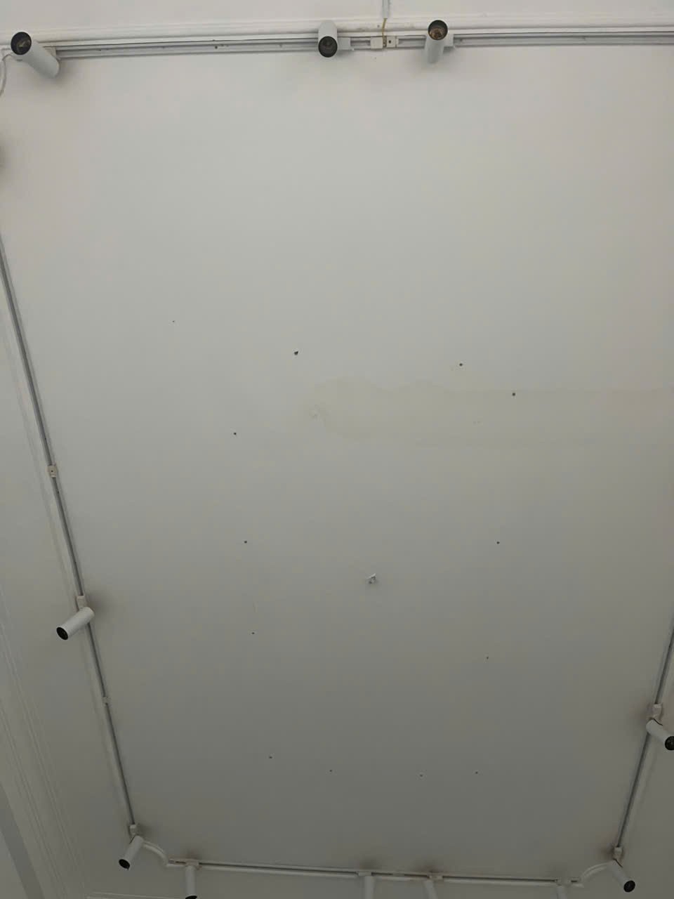 z7167838438998_47d264f8fb1941c5be0a41ba08723372