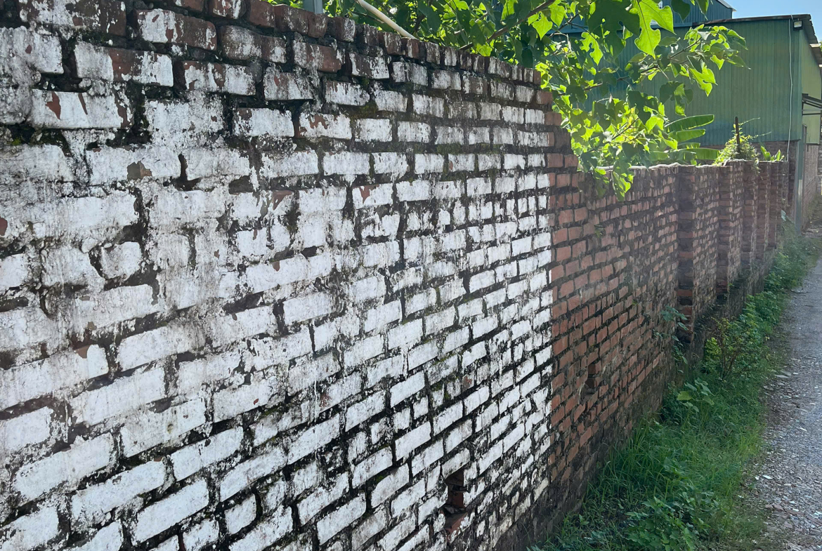 z7167875994919_73723f1101588144041cdf5ae5ae8148