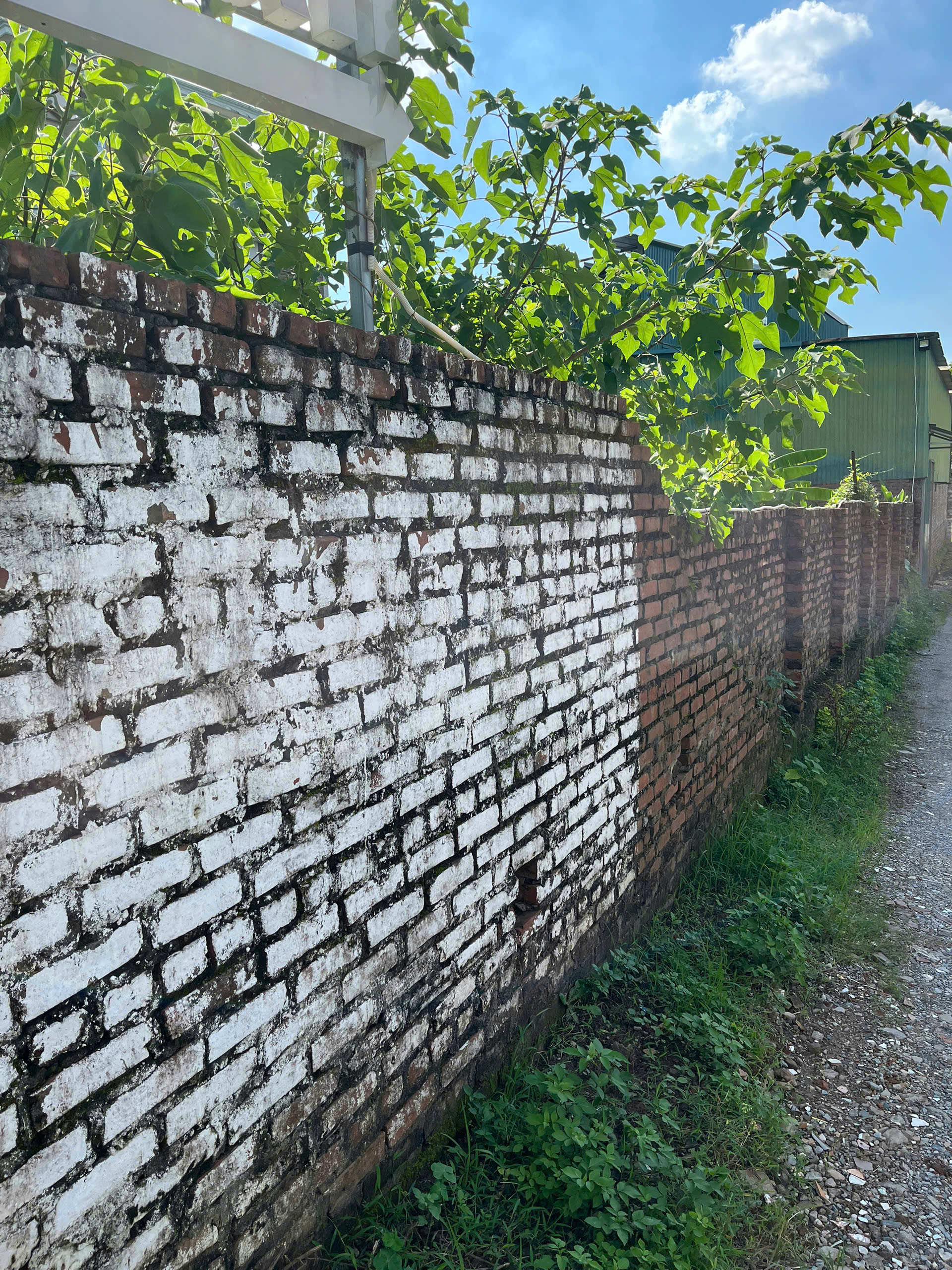 z7167875994919_73723f1101588144041cdf5ae5ae8148