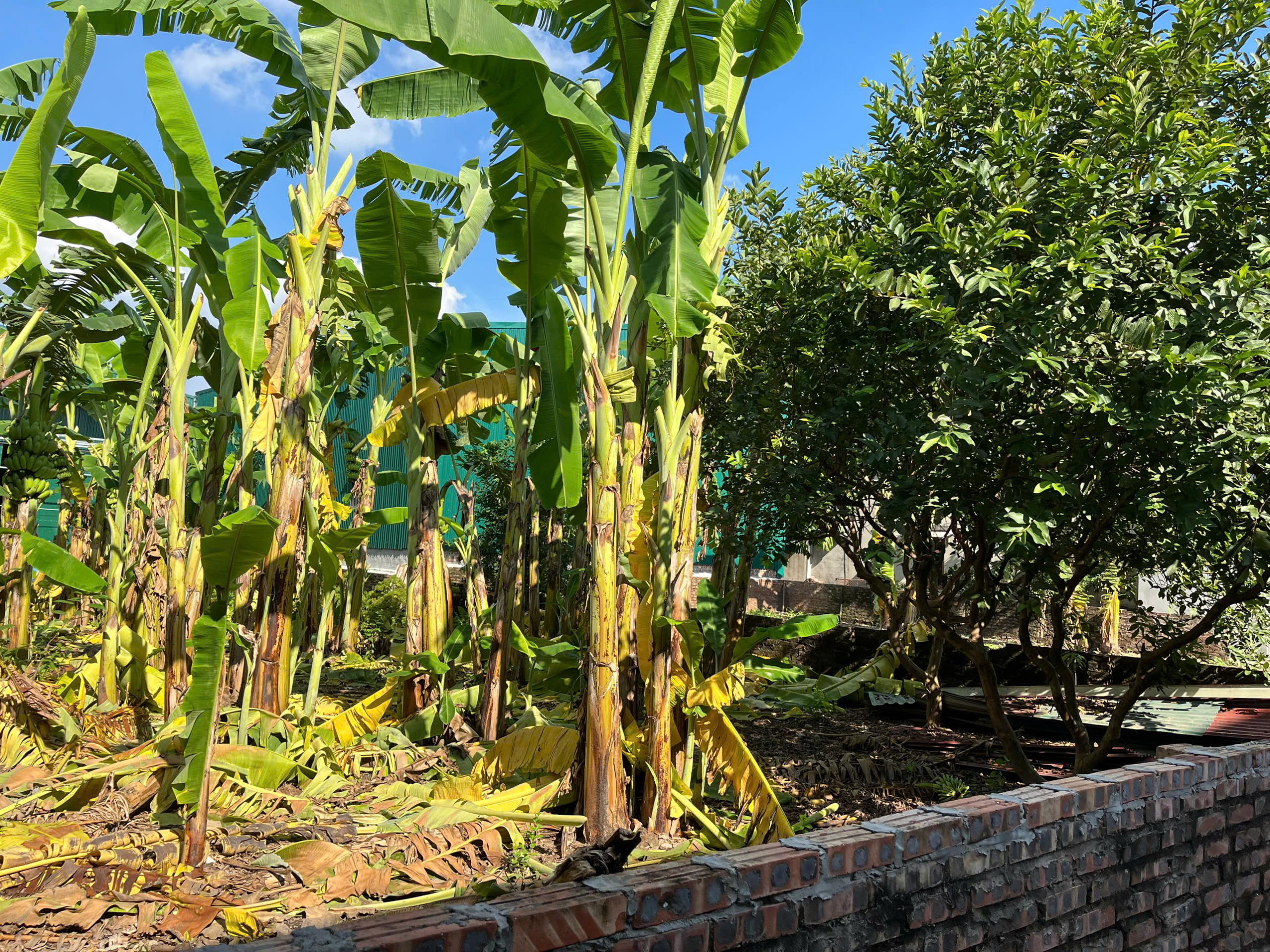 z7167876001738_3c906798f9ef44499082a5c7c3e739bc