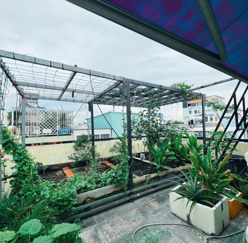 z7168516519028_29952dfa16d2ee6163d58db69255625a