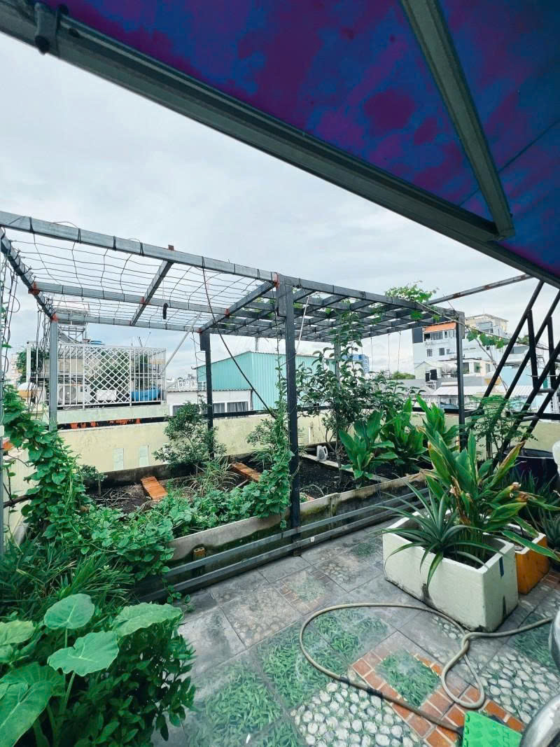 z7168516519028_29952dfa16d2ee6163d58db69255625a