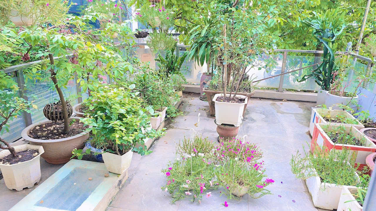 z7169124935106_e36ae0d85301ecafa2407ff34ac44cbd