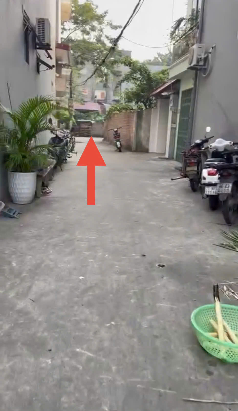 z7169518671818_70b0e465fa2becba83abf7755f6692ad