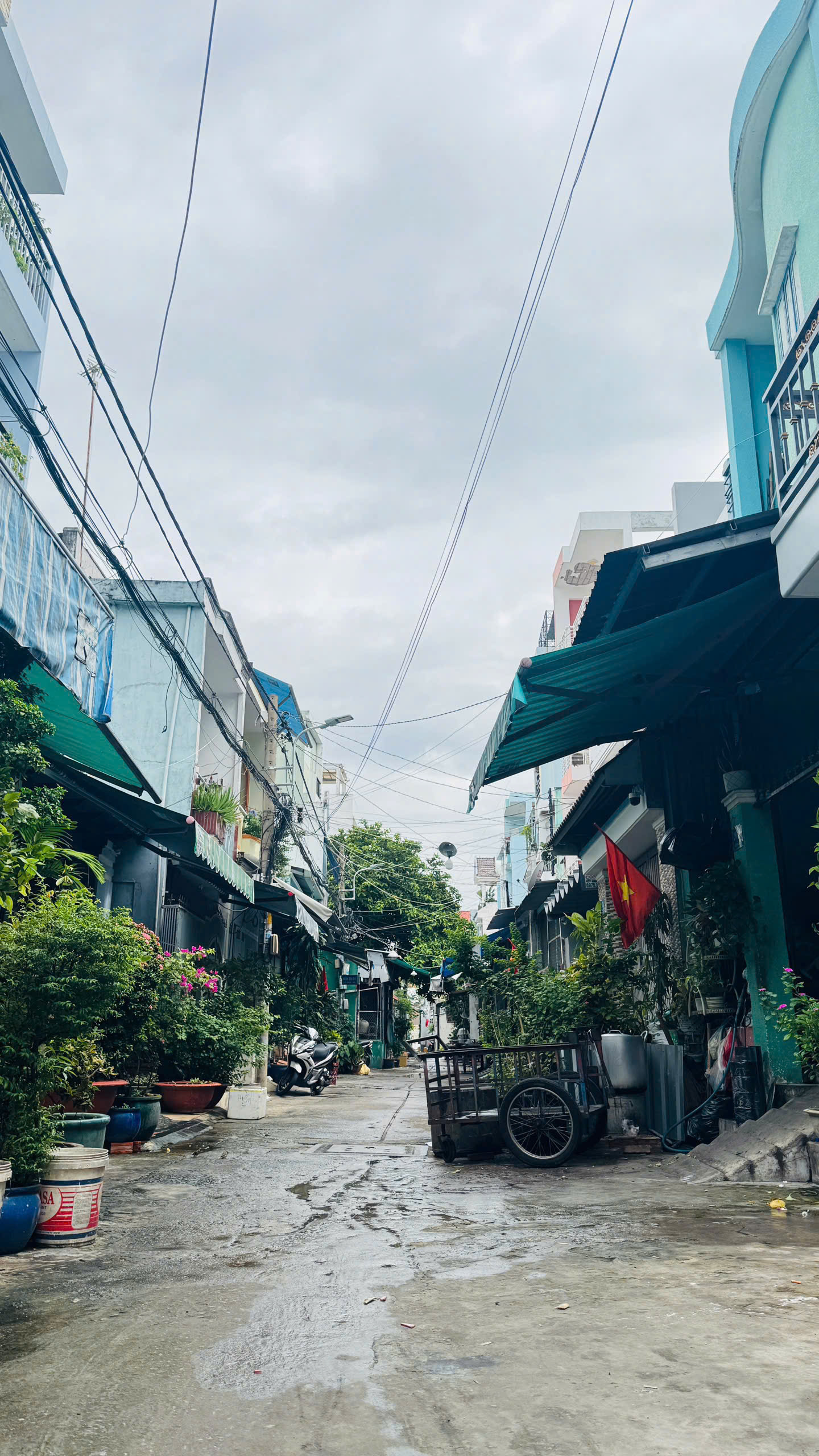 z7169552858642_985457c9d50365f1aa3f0b9c9fc4c3b9