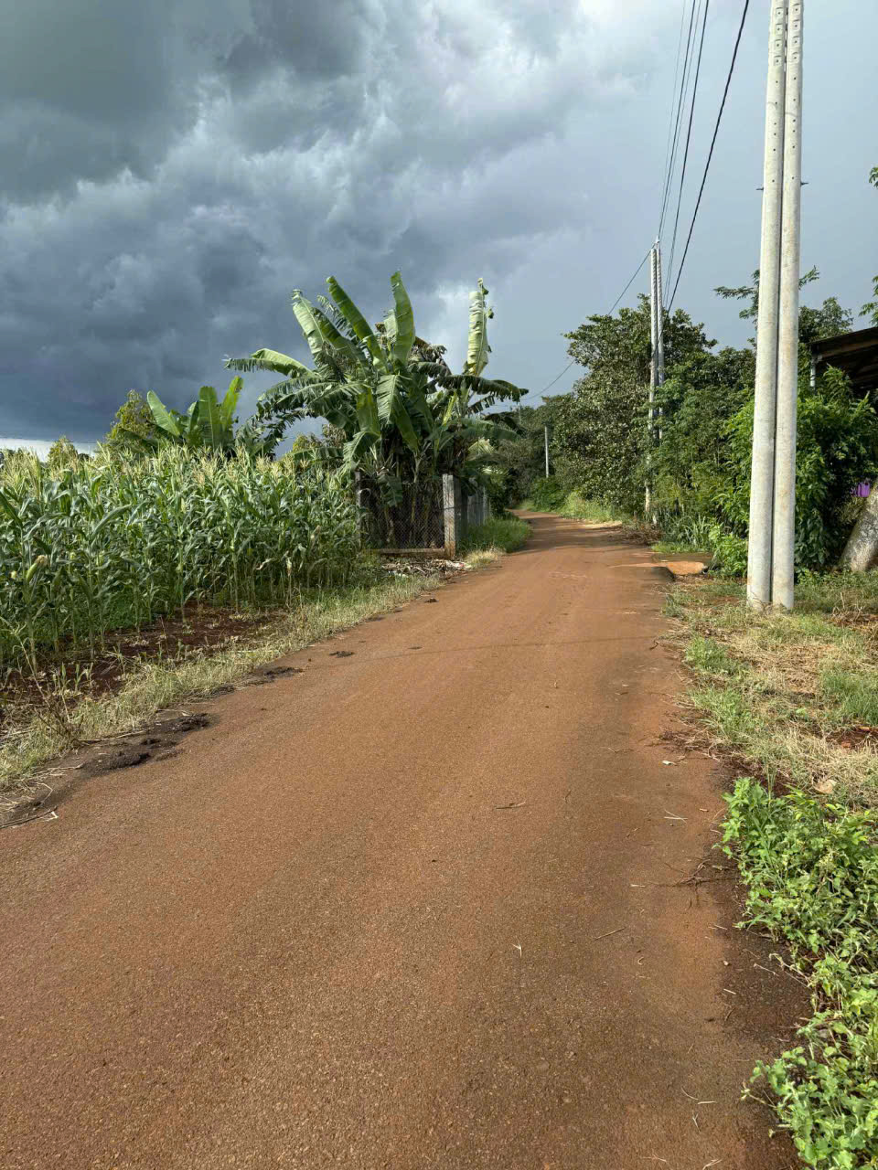 z7170032607151_e10c948290e58b5cc88655d3e5be0c4b