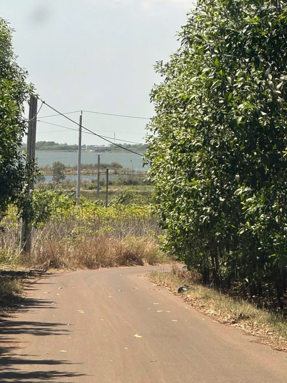 z7170100787628_bafb3a537f0498adab3f6352ee304a53