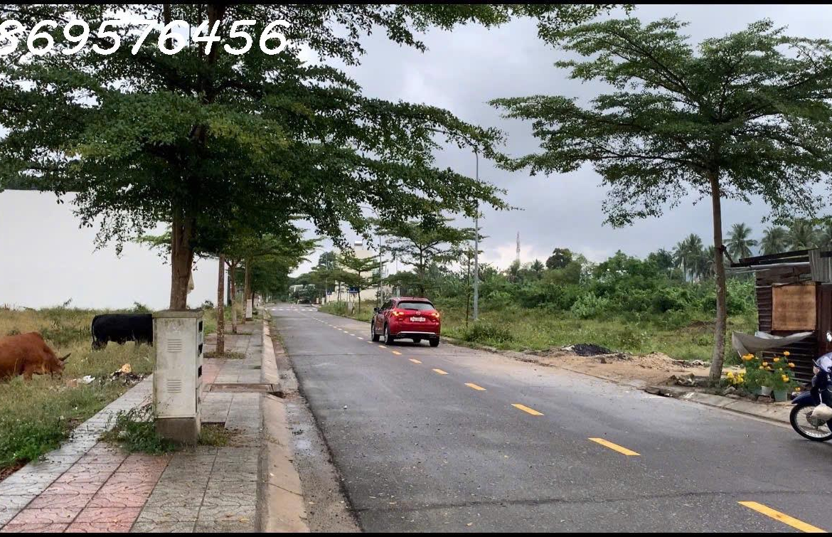 z7170299865777_621a8ebafdc59b2df8c5482478889bd6